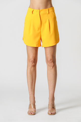 Shorts Com Pregas - SOL