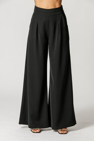 Calça Com Pregas E Detalhe No Cós