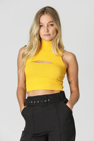 Blusa Cropped com Gola