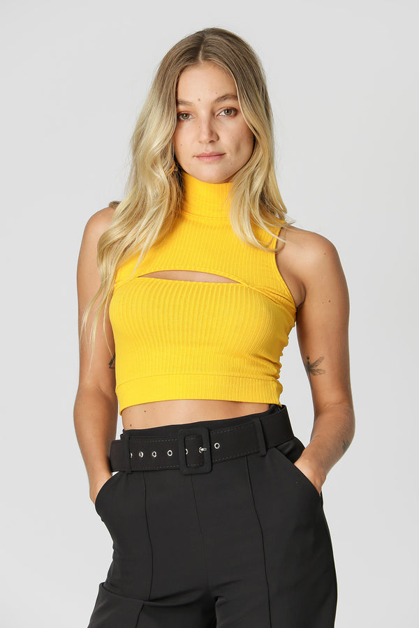 Blusa Cropped com Gola