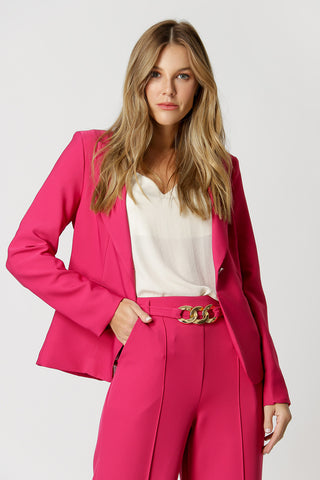 Blazer Básico Com Shape Clássico - PINK 2